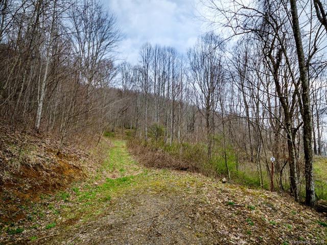 Lot 5 Sage Lane - Photo 1