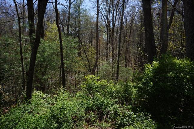 TBD Barberry Circle - Photo 1