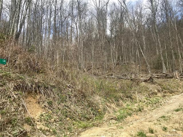 Lot D Jeffrey Lane - Photo 1