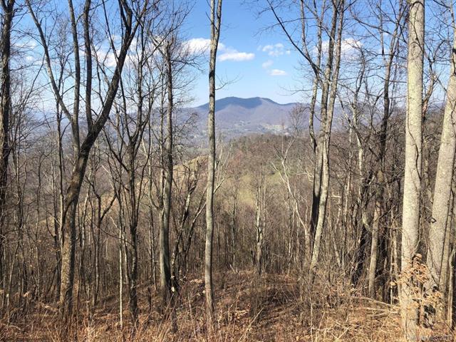 Lot 36 Cattail Lane - Photo 1