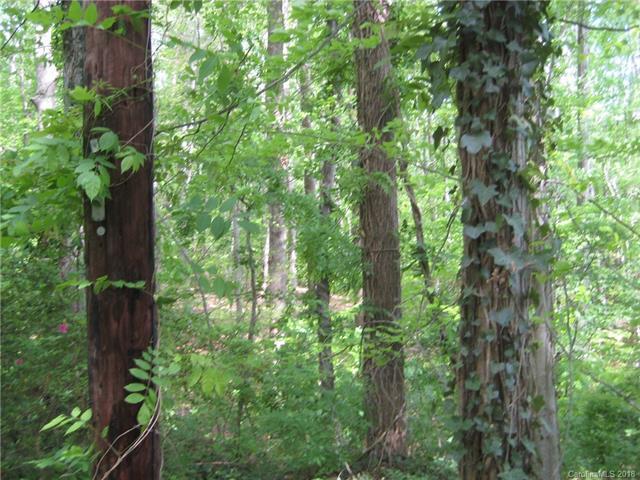 3235 Charlotte Highway - Photo 1