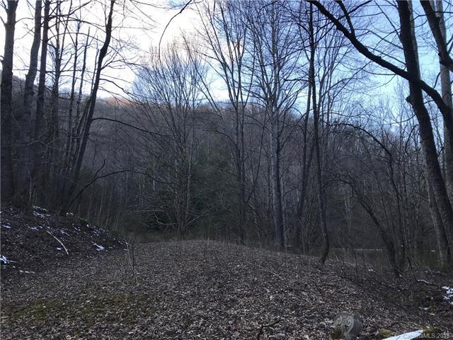 TBD Big Laurel Road - Photo 1