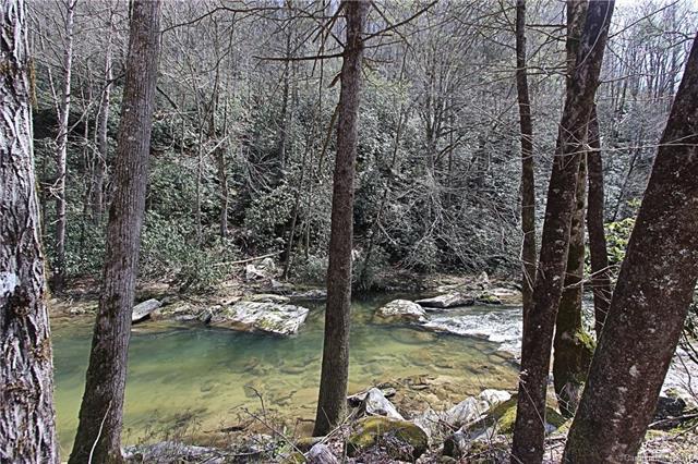 00 Hardison Falls Trail - Photo 1