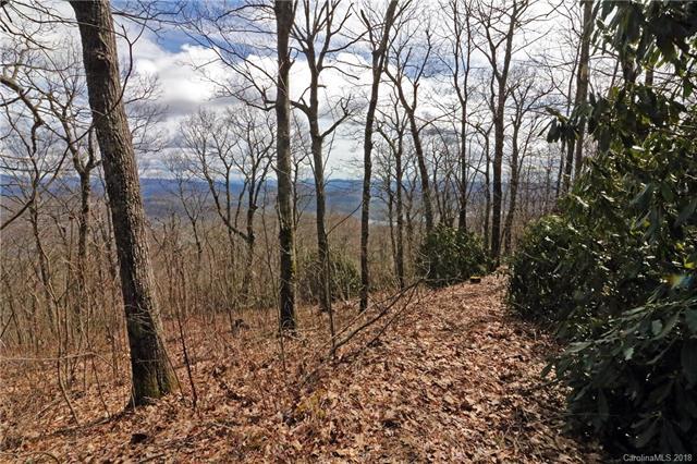 Lot 11 Summit Ridge Road - Photo 1