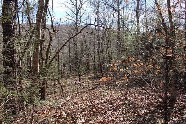 000 Bear Farm Road - Photo 1