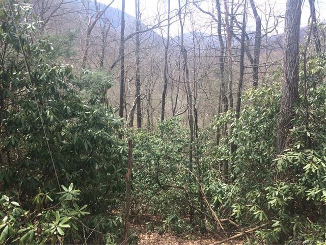 25 & 26 Little Mountain Road - Photo 1