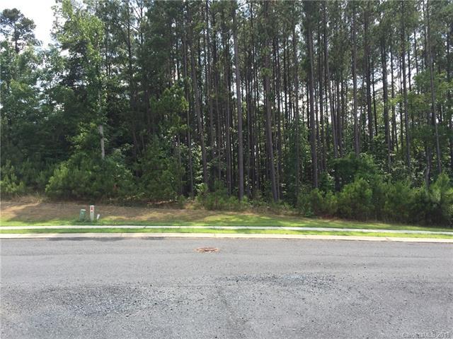 000 Ruby Way - Photo 1