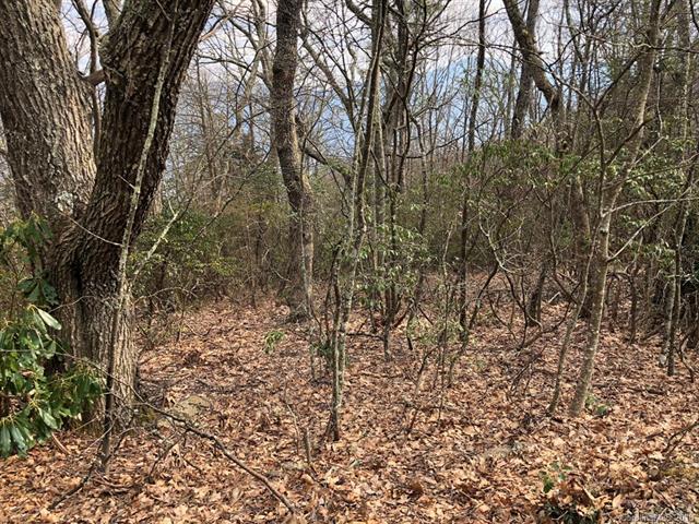 24 B Leatherwood Road - Photo 1