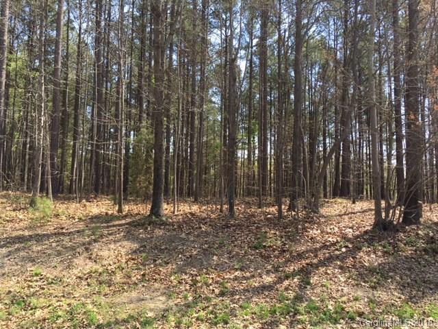 441 Beaten Path Road - Photo 1