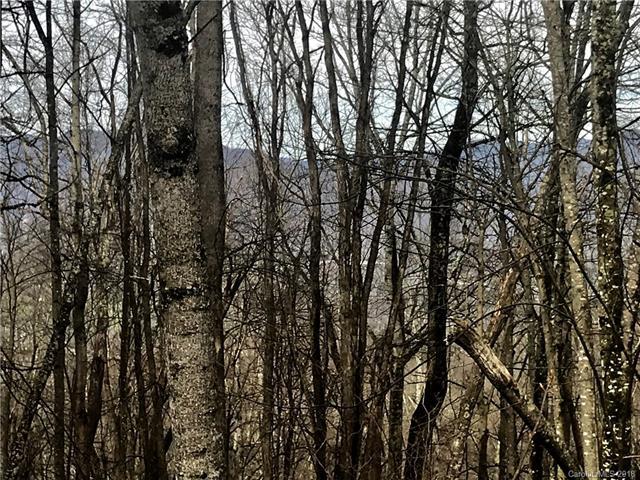 Lot 301 Old Country Road - Photo 1