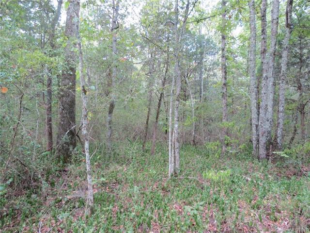 6 AC Wooten Road - Photo 1