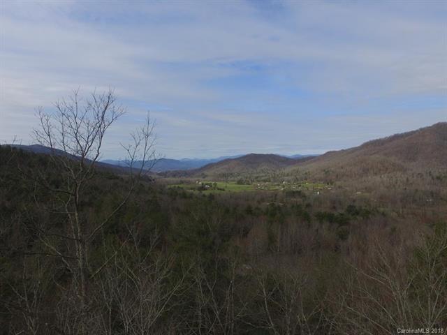00 Deer Ridge Trail - Photo 1