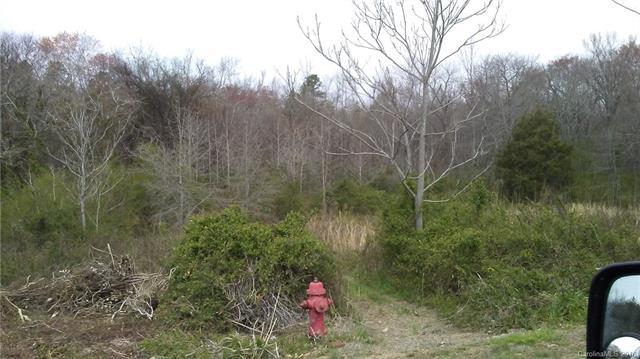 Lot 22 Old Farm Road - Photo 1