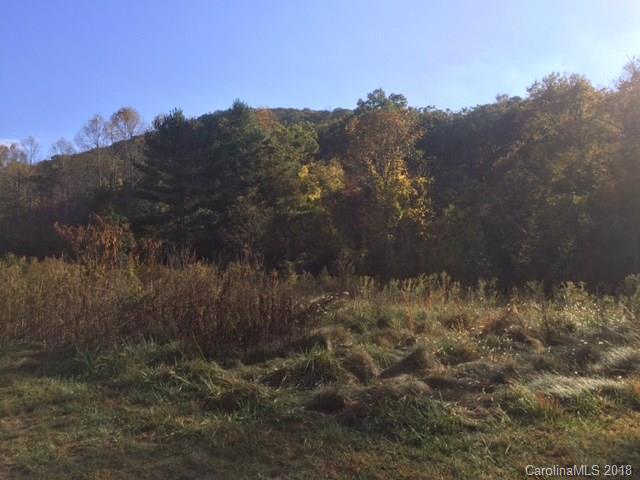 31 Rain Lily Trail - Photo 1