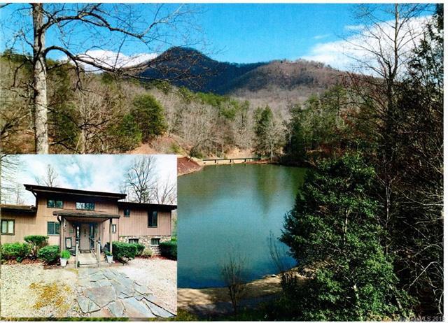 320 Bee Tree Point - Photo 1