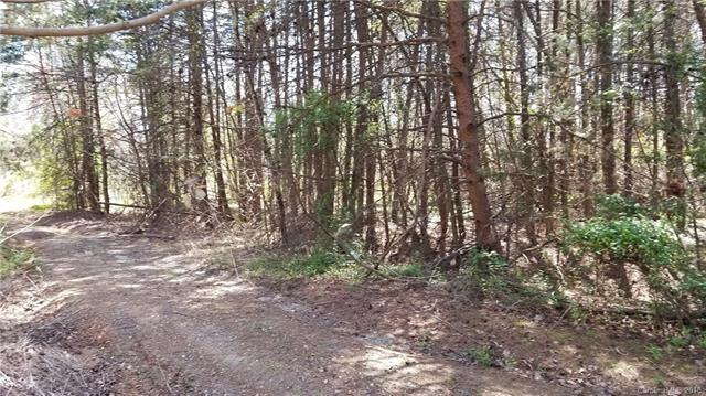 Lot 4 Maralane Trail - Photo 1