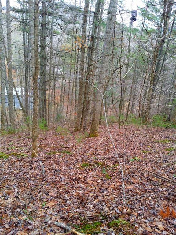 00 Fox Run Fox Run Road - Photo 1
