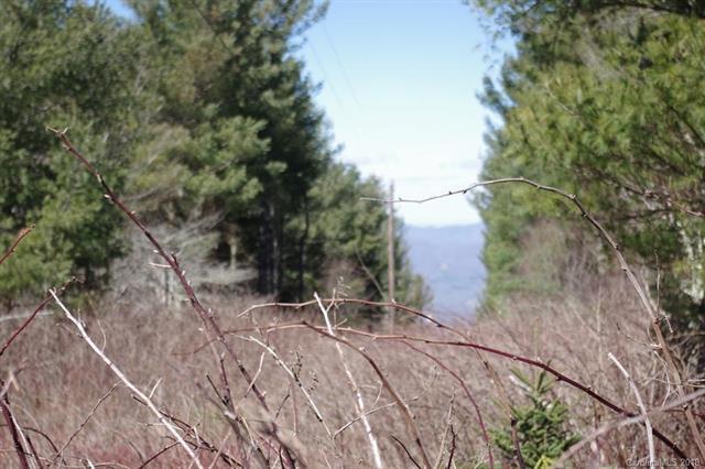 197 Eagle Bald Trail - Photo 1