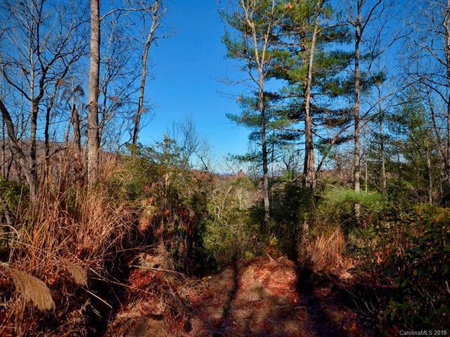 lot 13-15 & 30-31 Laurel Cove Retreat - Photo 1
