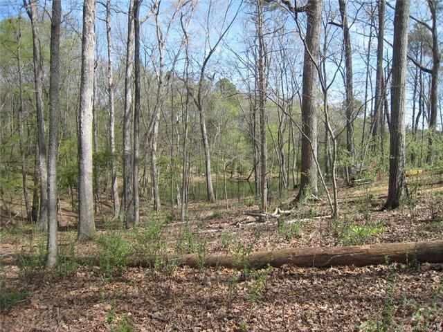 11717 Egrets Point Drive - Photo 1