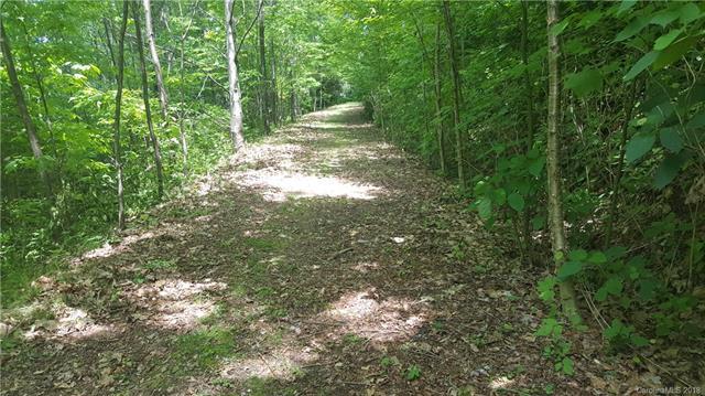 Lot 37 Trickle Creek Road - Photo 1