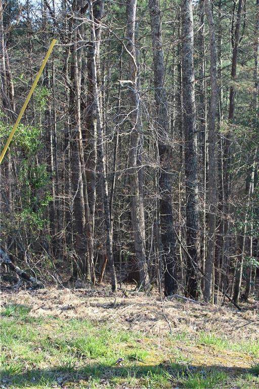 TBD Zacks Farm Road - Photo 1