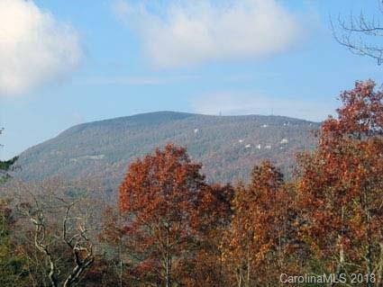 1054 Hawk Mountain Road - Photo 1