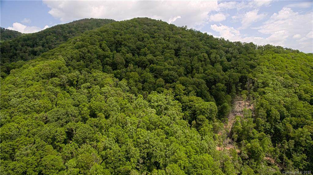 000 Haney Creek - Photo 1