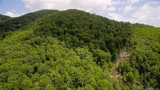 000 Haney Creek - Photo 1