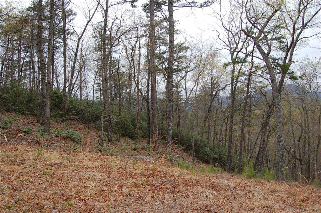 0 Amys Ridge Road - Photo 1