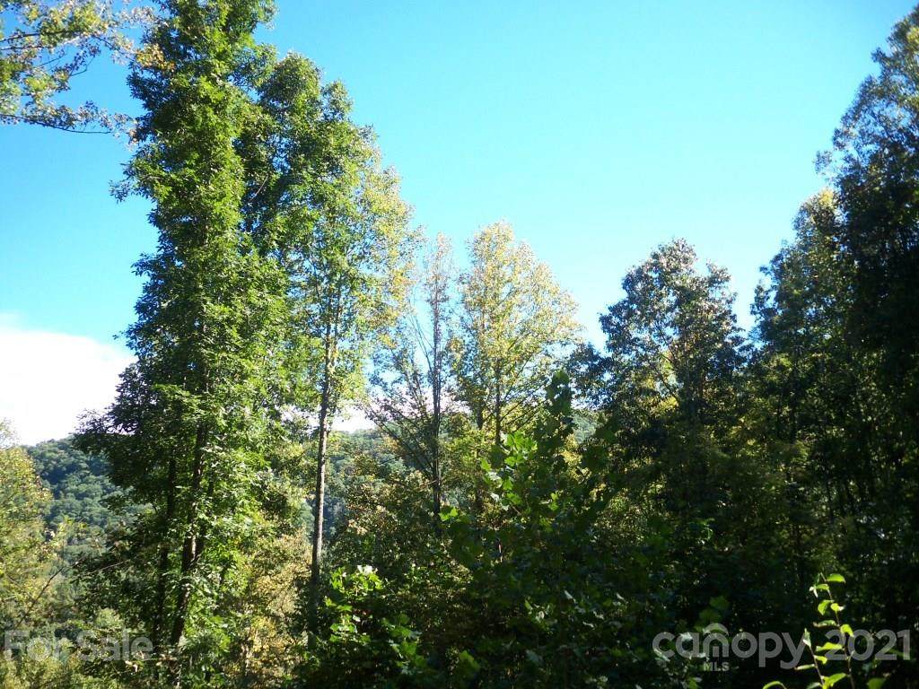 Lots 1 & 2 Justice Trail - Photo 1
