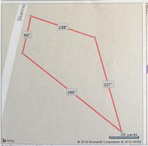 N/A Shannon Bradley Road - Photo 1