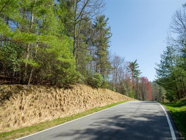 144 Chattooga Run - Photo 1