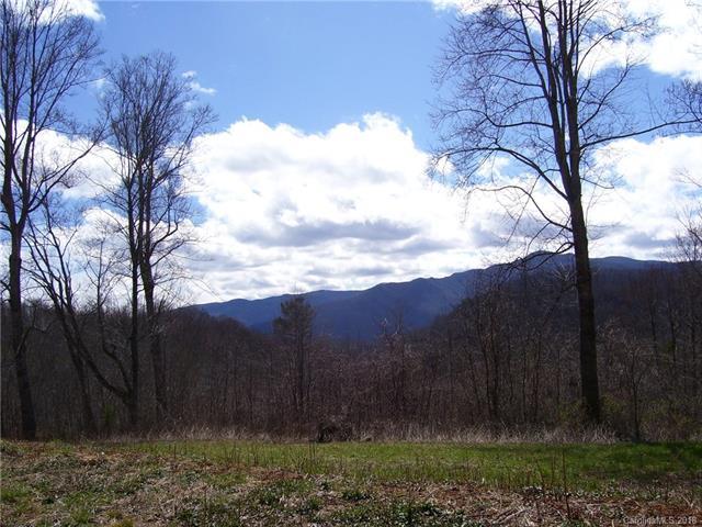 155 Spirit Hollow - Photo 1