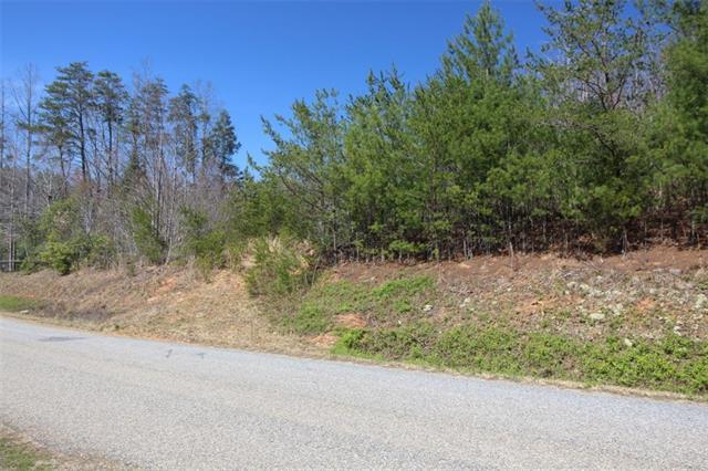N/A Kings Creek Church Road - Photo 1