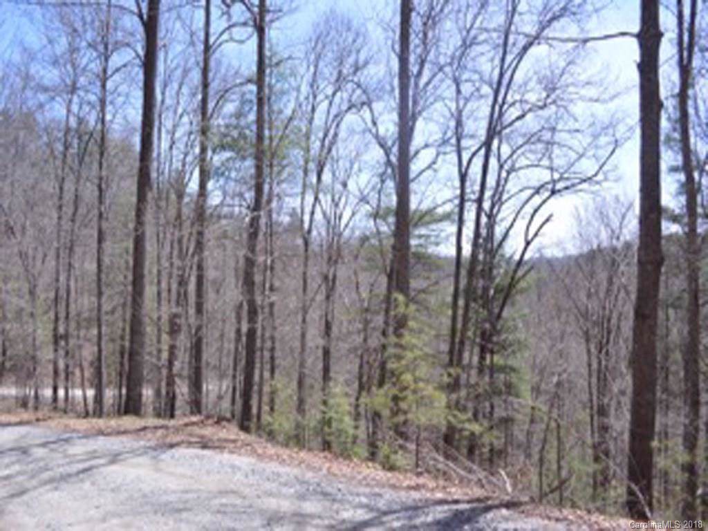 0000 Grand Oak Trail - Photo 1