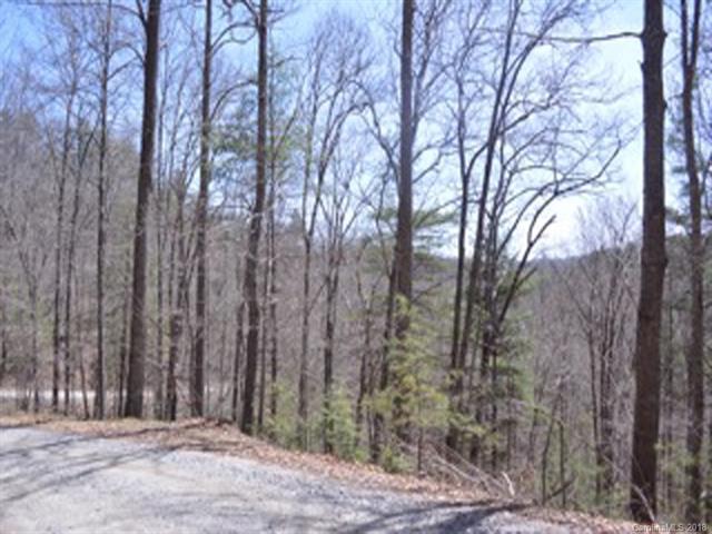 0000 Grand Oak Trail - Photo 1