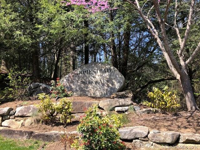 Lot 20R Shining Rock Path - Photo 1