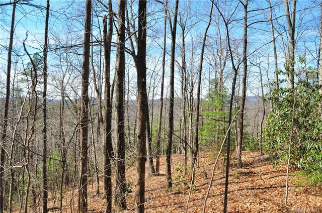 000 Stoneledge Road - Photo 1