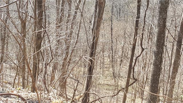 99999 Foster Creek Road - Photo 1