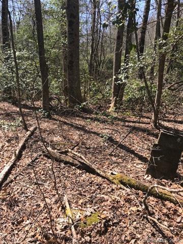 1808 Solomon Jones Road - Photo 1