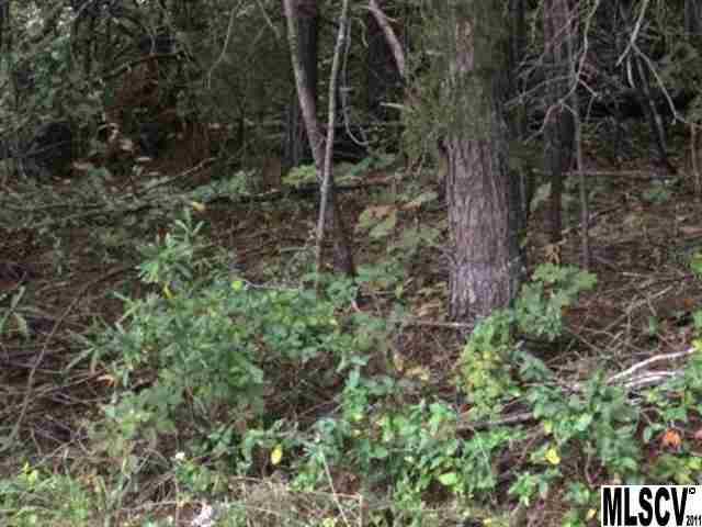 1243 Beechwood Drive - Photo 1