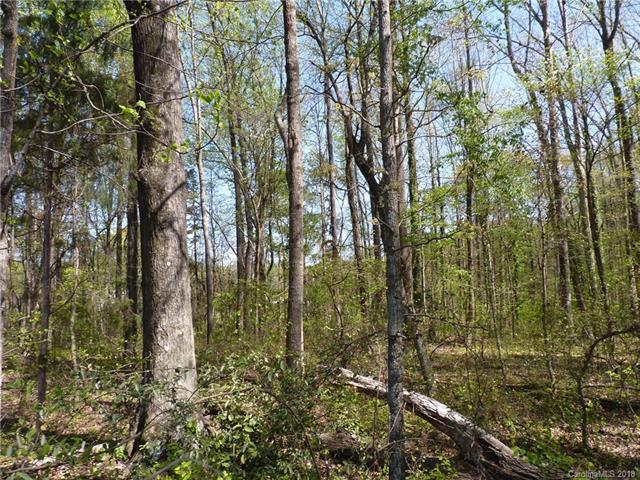 3700 Back Creek Church Road - Photo 1