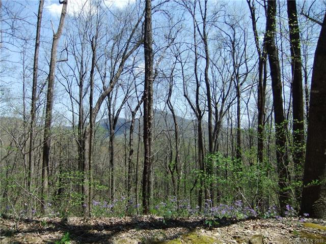00 Bald Mountain Crescent - Photo 1