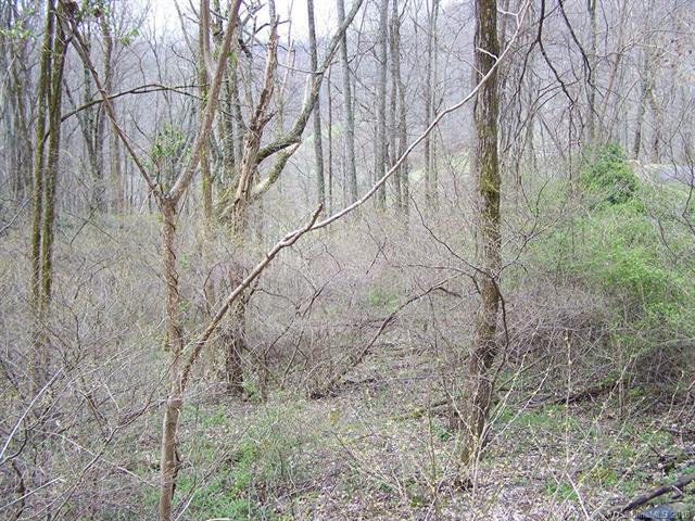 Lot 81 Turkey Run Drive - Photo 1