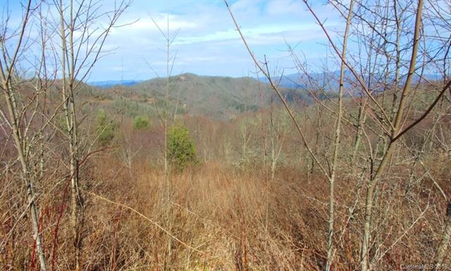 382 Adcock Mountain Road - Photo 1