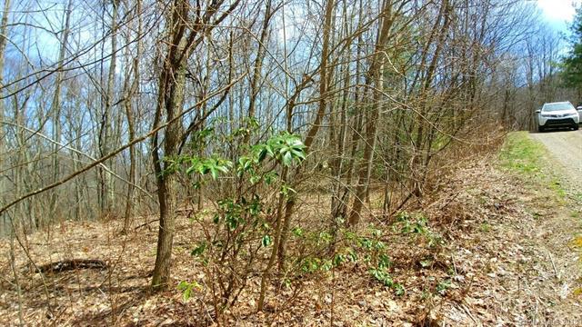 4 Adcock Mountain Road - Photo 1