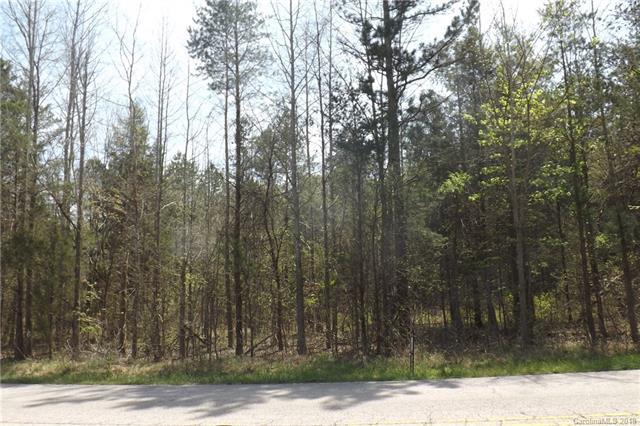 0 Old Beatty Ford Road - Photo 1