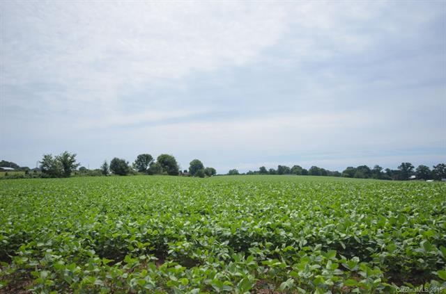 Lot 2 Ben Yount Lane - Photo 1