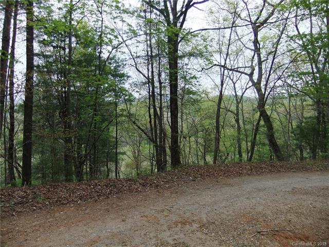0 Bird Dog Boulevard - Photo 1